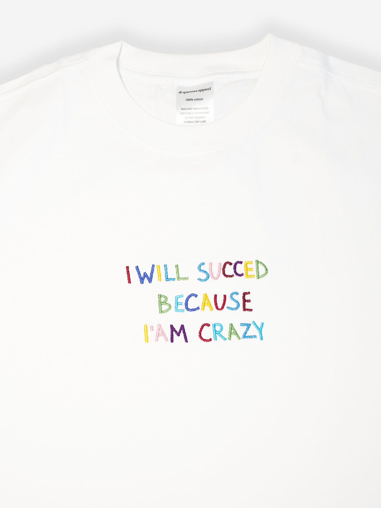 I WILL SUCCEED BECAUSE I AM CRAZY
